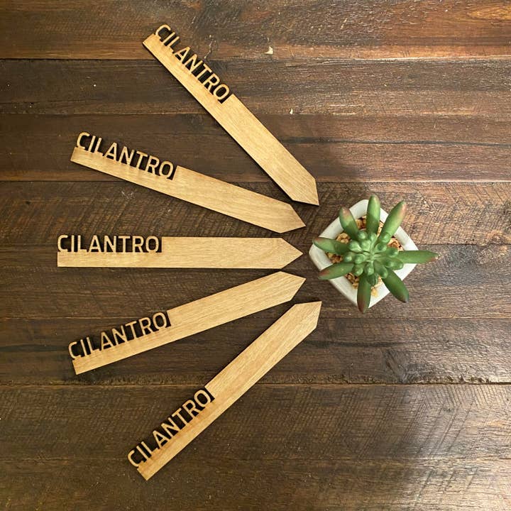 Cilantro Garden Pfahl für den Großhandel von Beach Burns