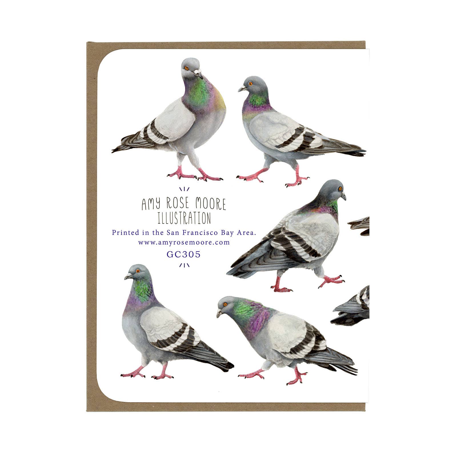 Amy Rose Moore Illustration - Wholesale Everyday Greeting Card - Pigeons All Over - Blank Card 1