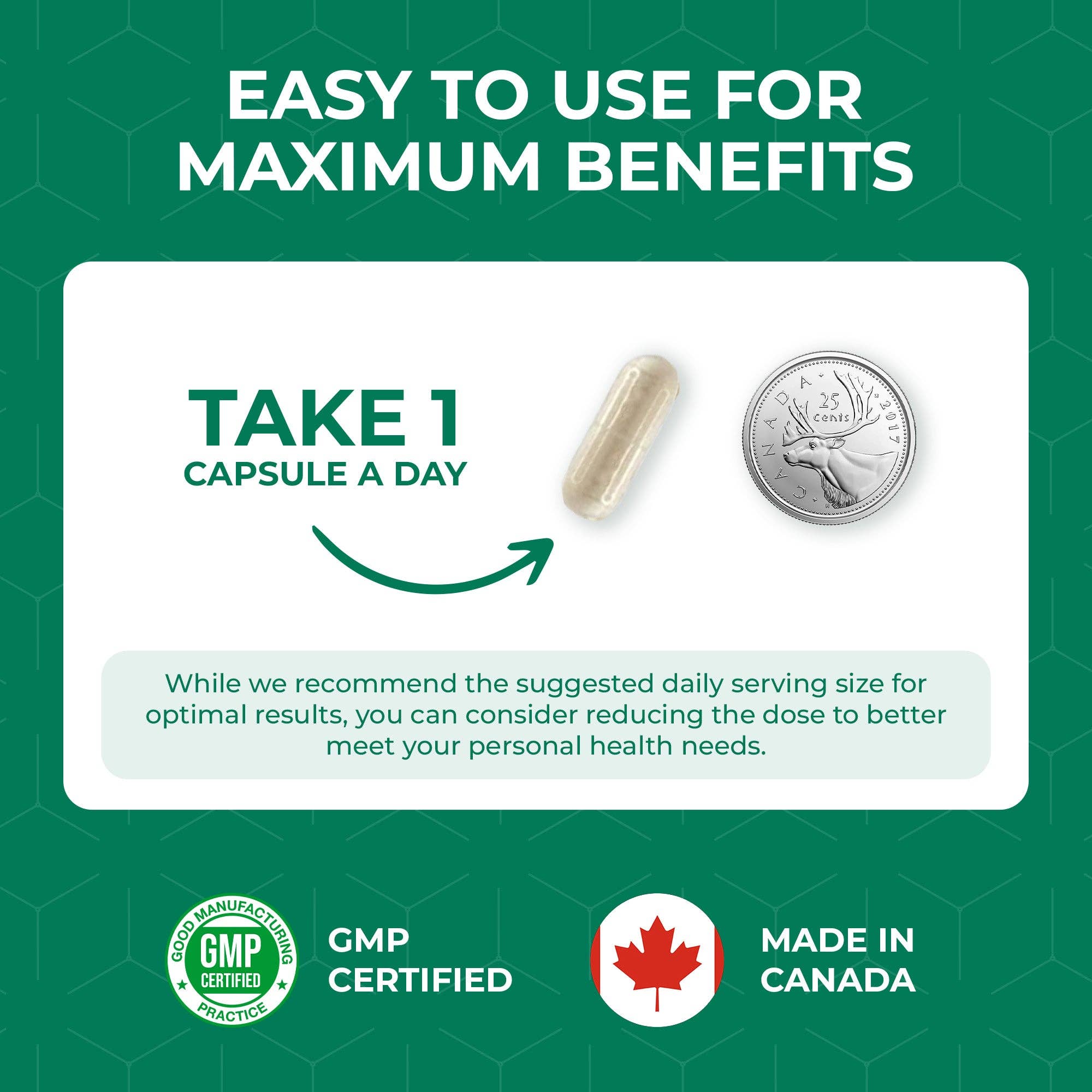 Elan Healthcare – Großhandel Nahrungsergänzungsmittel/Vitamin zum Einnehmen – Elan Healthcare Extrakt aus weißen Kidneybohnen, 60 Kapseln (entspricht 7000 mg)6