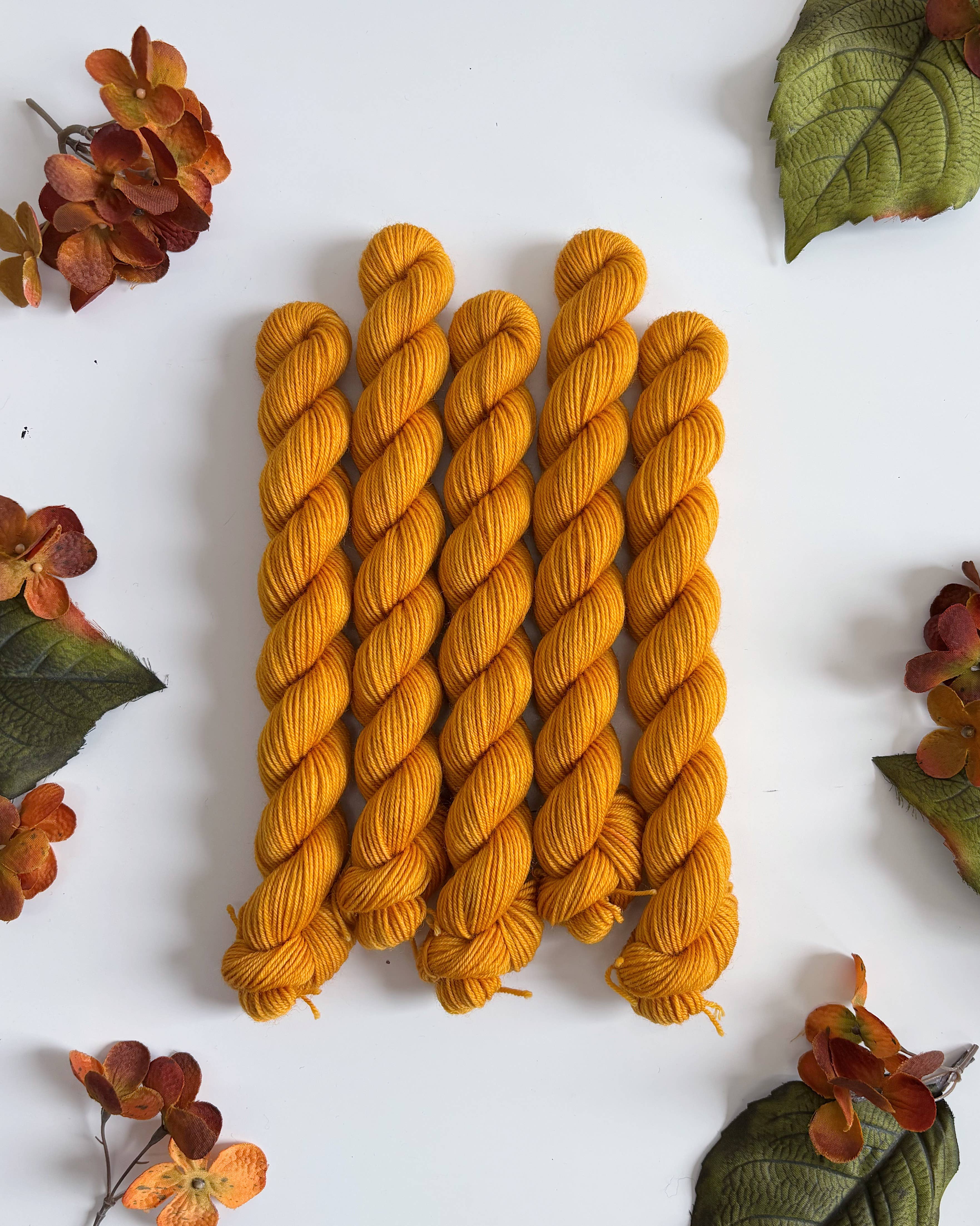 Coates & Co. - Vendita all'ingrosso Lana - Filato Cottage Sock • Mini matassina da 20 g6