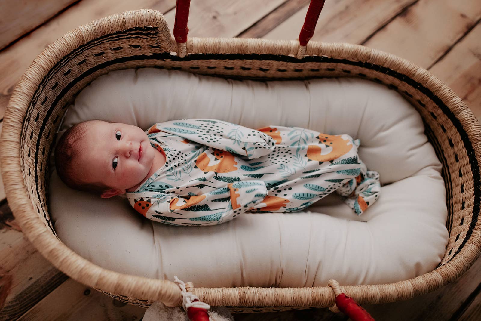 Three Little Tots - Wholesale Babygown - Baby - Dinosaur Animal Print Zoo Knotted Gown20