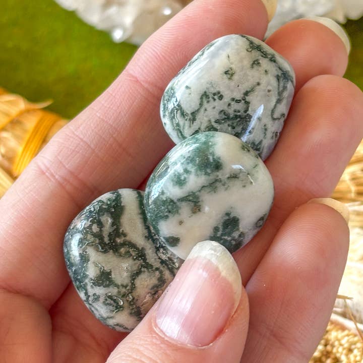Tree Agate crystal for wholesale by Goddess Provisions