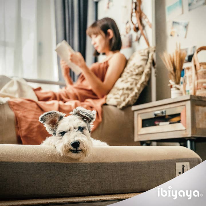 Ibiyaya Deep Sleep Orthopedic Dog Bed - Tan for wholesale on Faire