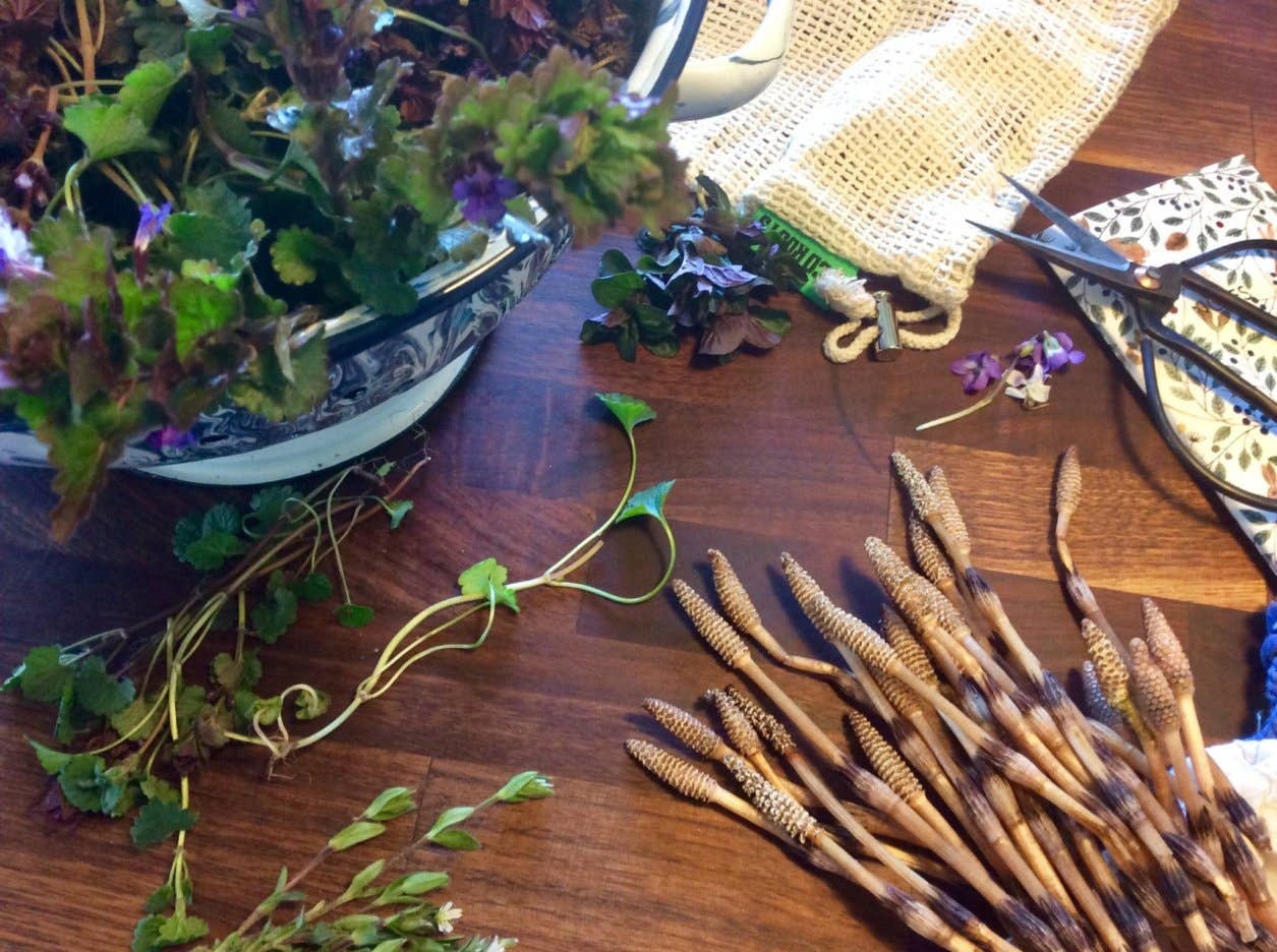 Du Jardin Beauty - Wholesale Scalp/Hair Treatment - Stimulating Scalp Serum With Wild-Foraged Horsetail & Nettle10