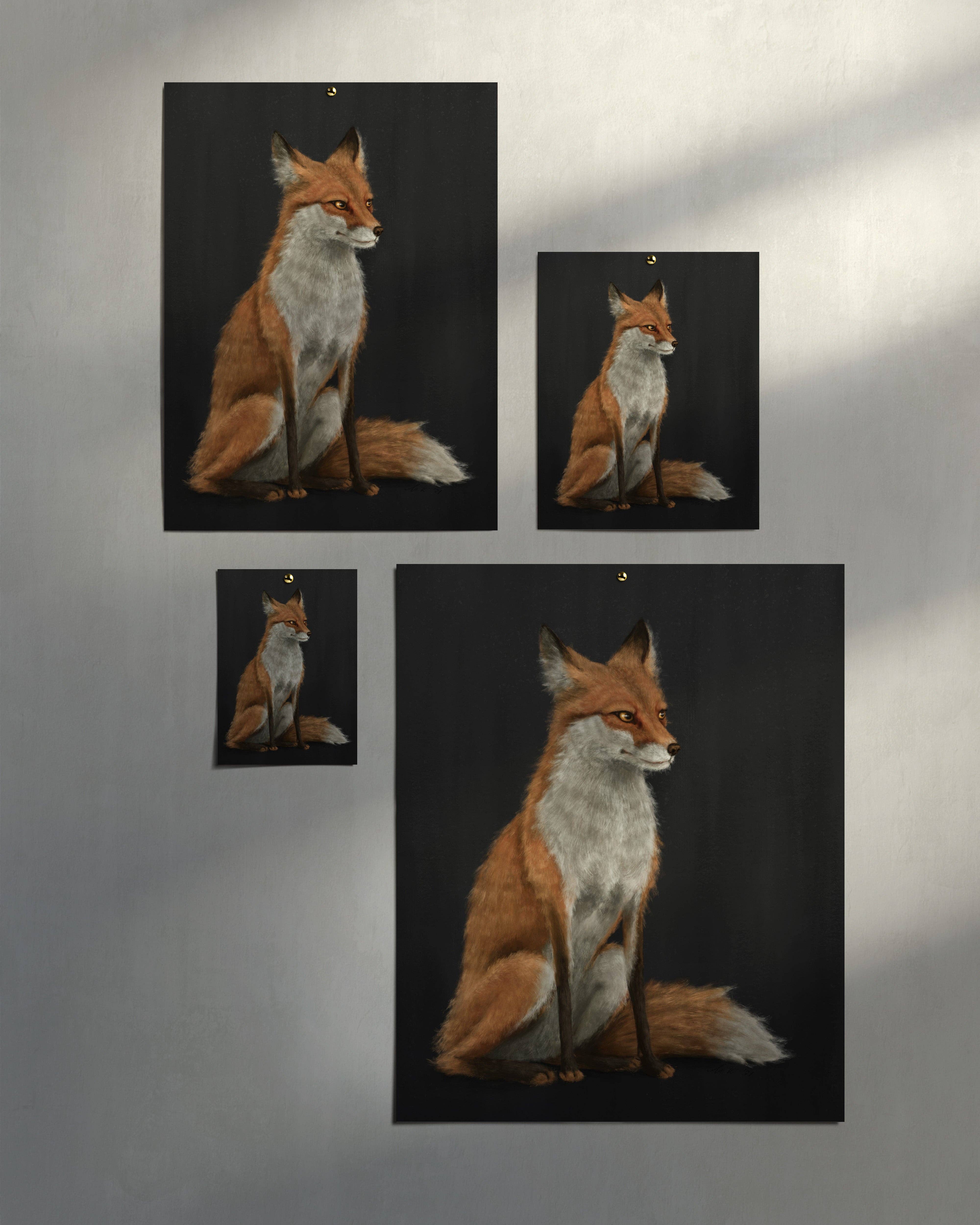 The Ugly Cat Studio - Wholesale Art Print - Red Fox Fine Art Print - Black Edition26