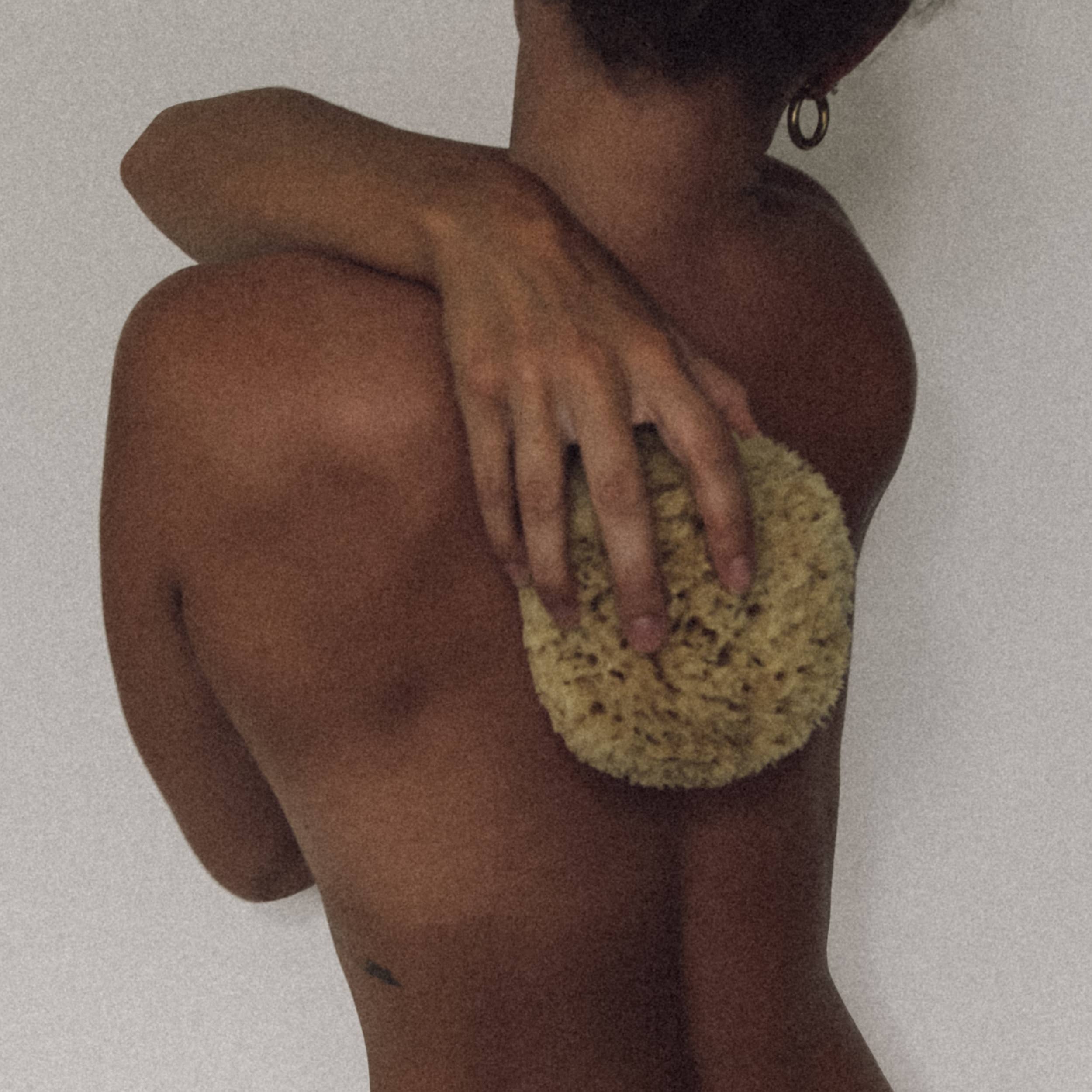 Well Kept - Vendita all'ingrosso Spugne da bagno morbide e a rete - Spugna marina grande in lana - 12,7-15,2 cm4