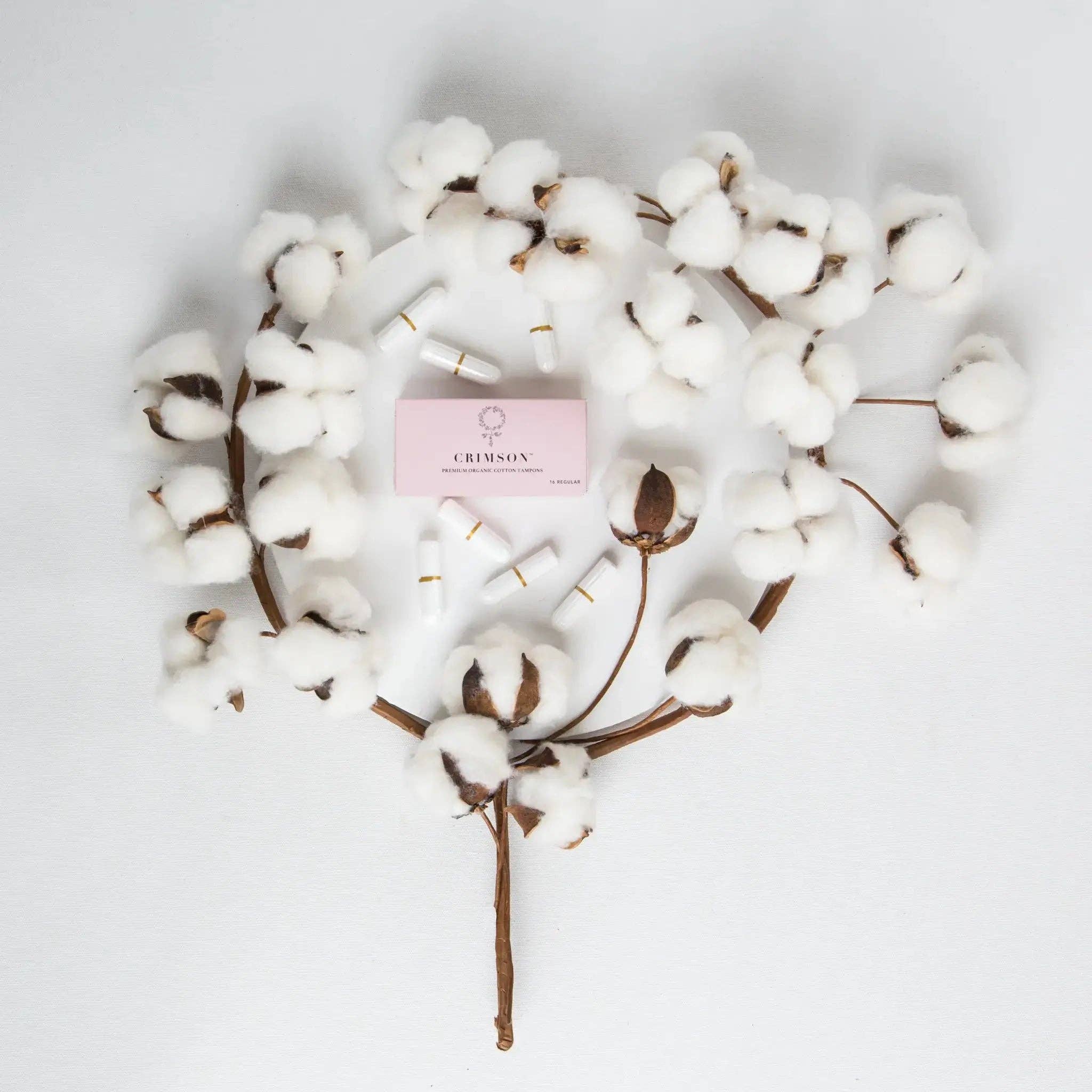 Crimson Organic – Großhandel Tampons – Großhandel – Reguläre Bio-Baumwolltampons (24 Schachteln)5