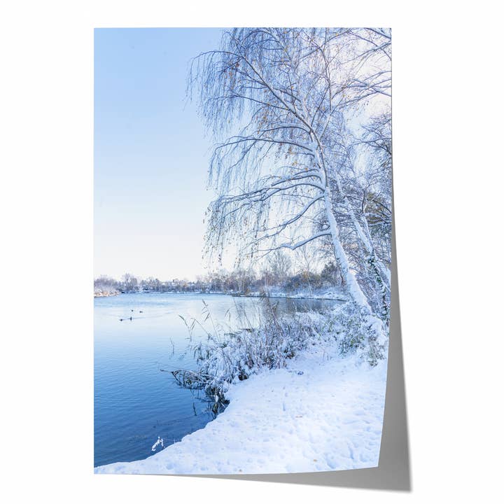 Paysage d'hiver | Tirage Photographique d'Art pour la vente par Natasha Riha Photography