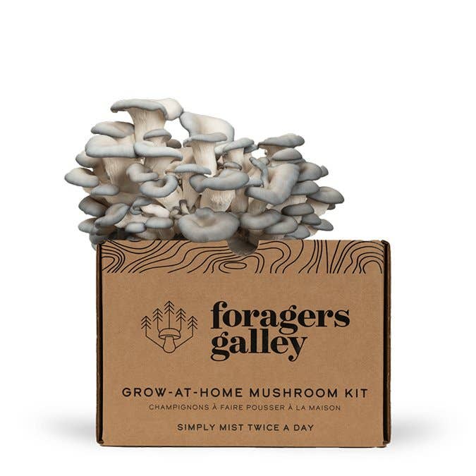 Blue Oyster Mushroom Grow-at-Home Kit and other Purchase Wholesale canned mushrooms. Free Returns & Net 60 Terms on Faire trending on Faire.