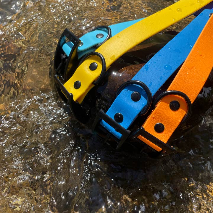 Collier en Biothane imperméable pour la vente par Hollywoof Styles