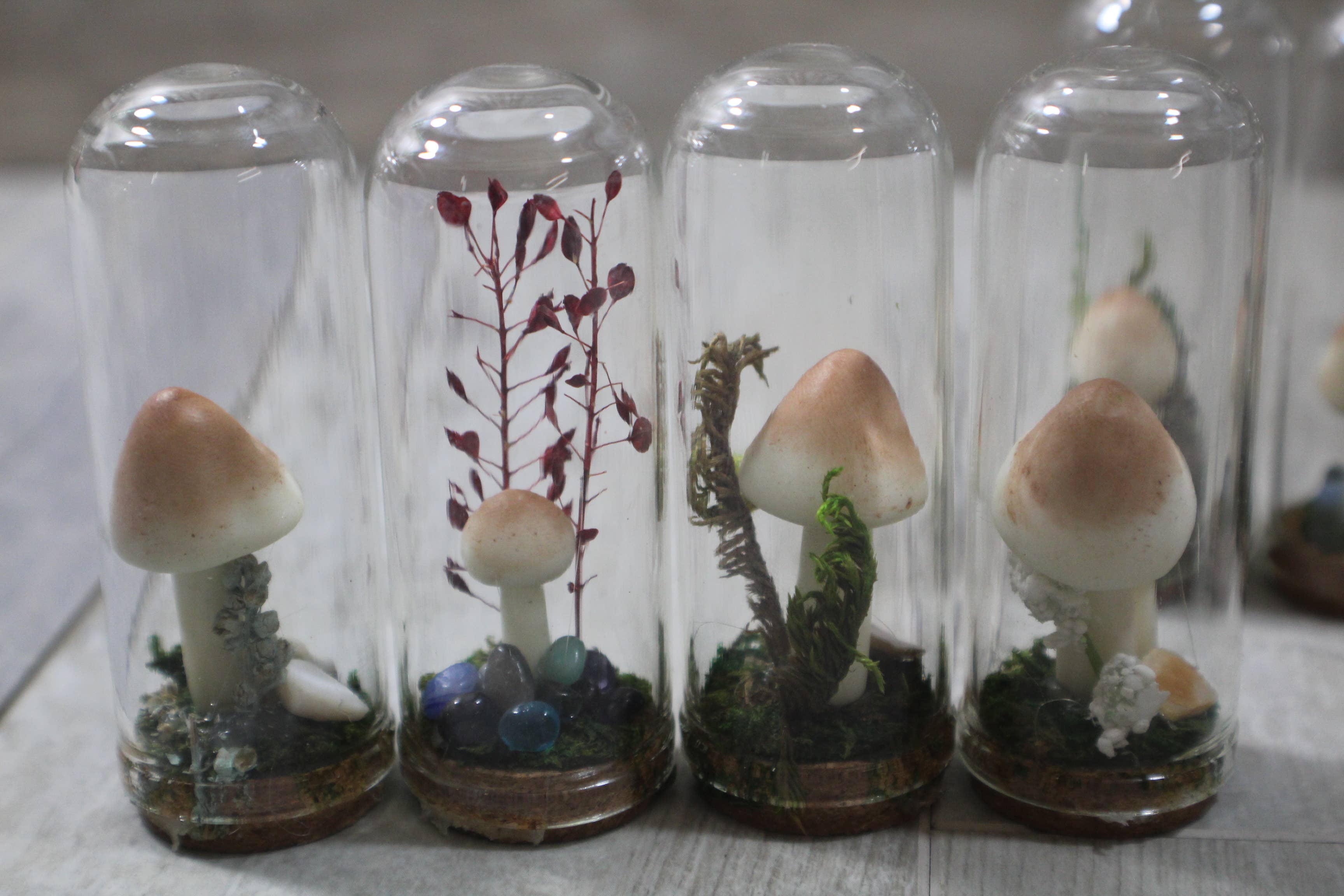 Raven Design - Wholesale Terrarium - Mushroom Terrarium Glows in the Dark!2
