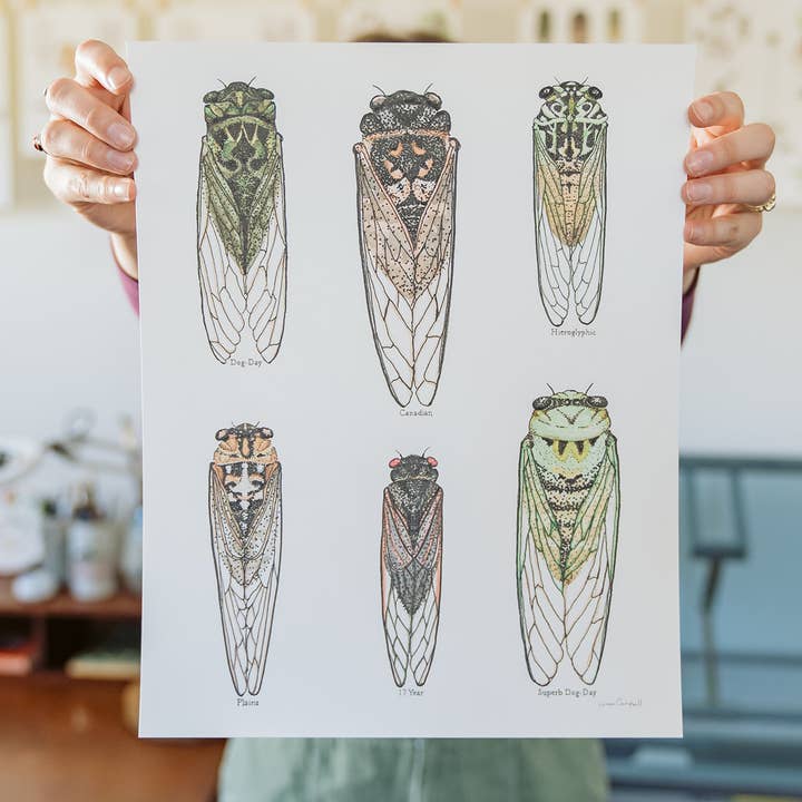 Cicada Collection Art Print for wholesale by Linnea Campbell Studio