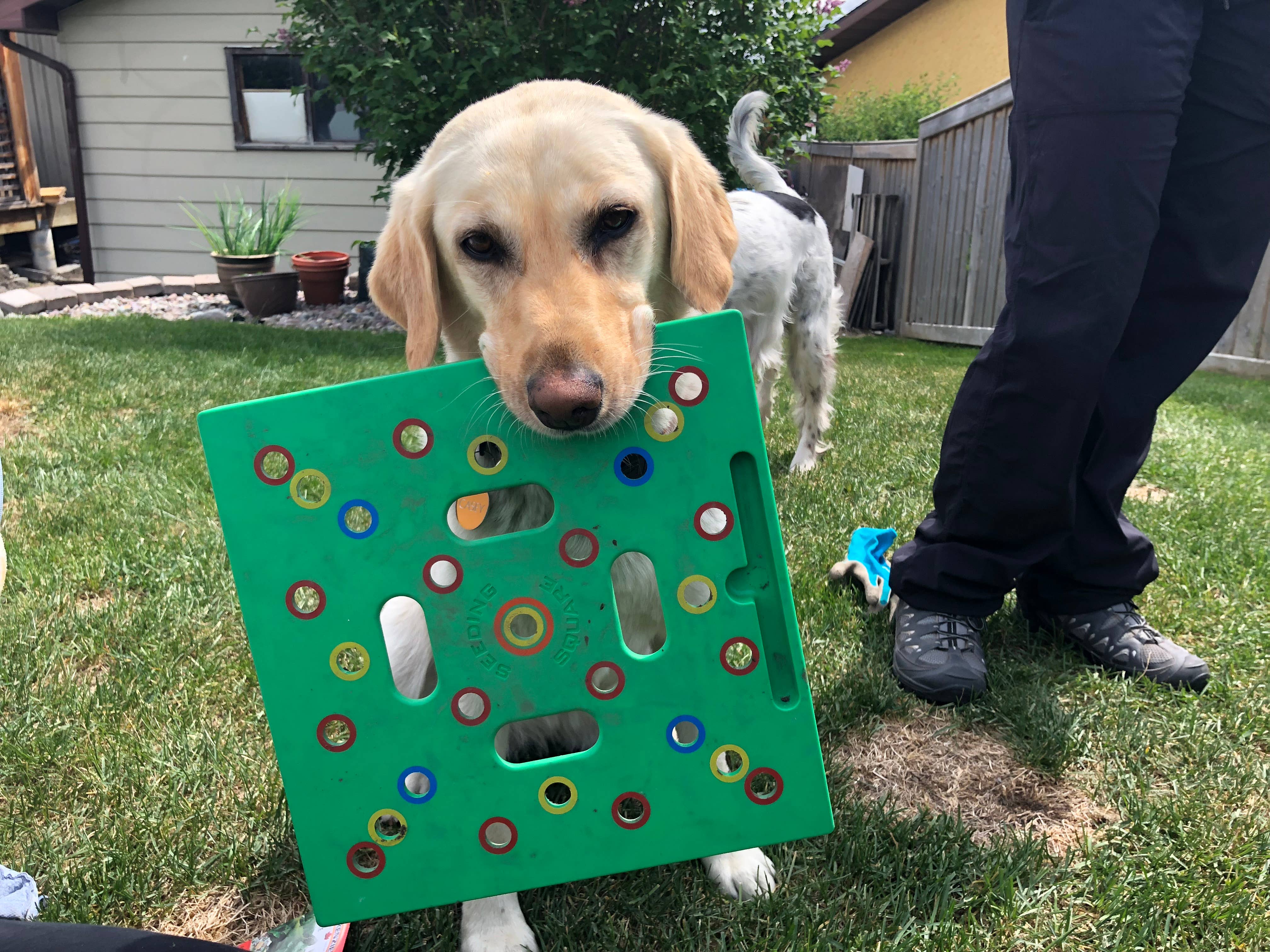 Seeding Square - Wholesale Garden Tool - SEEDING SQUARE Garden Spacing Template for Maximum Yield18