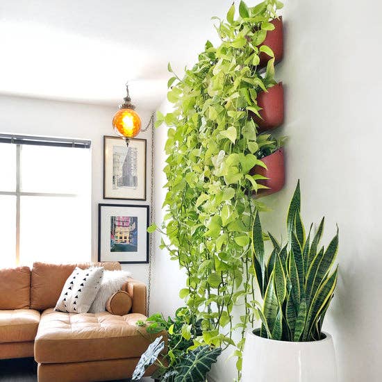 WallyGrow - Wholesale Wall Planter - Eco Brick Wall Planter