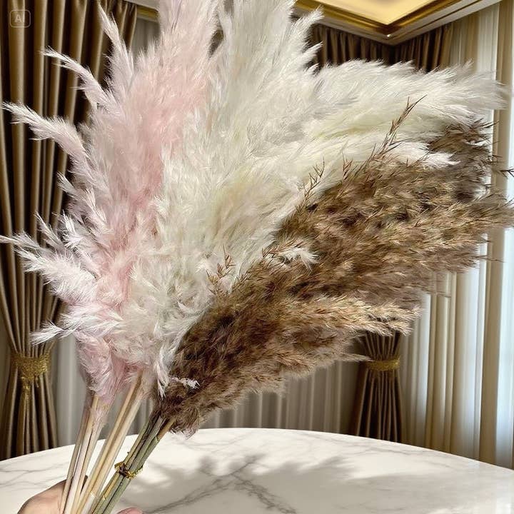 Effiliving - Wholesale Dried/pressed flowers - 10 Wholesale Boho Wedding Decor Large Plume Dry Pampas Grass4