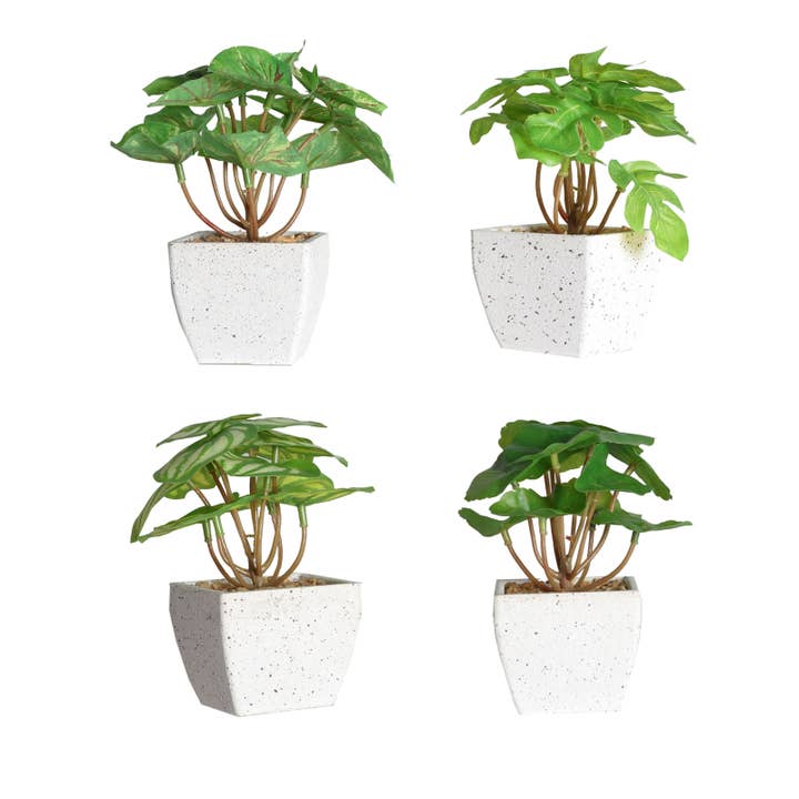 Planta Sortido 4 De Cimento Multicolor 12X12X14cm por atacado de B&B