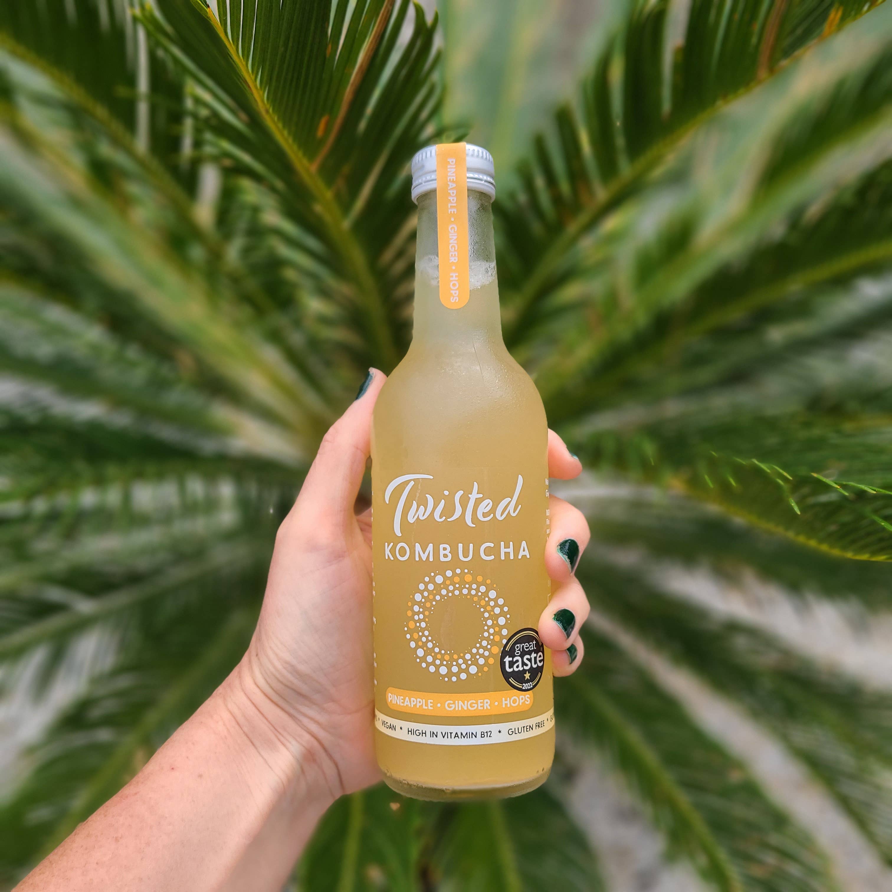 Twisted Kombucha – wholesale Kombucha – Twisted Kombucha - Pineapple, Ginger & Cascade Hops4