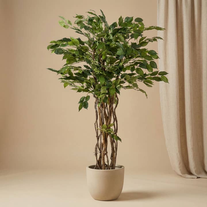Ficus Liana Træ 140cm - Kunstig Plante for engroshandel hos Trendhero.nl/b2b