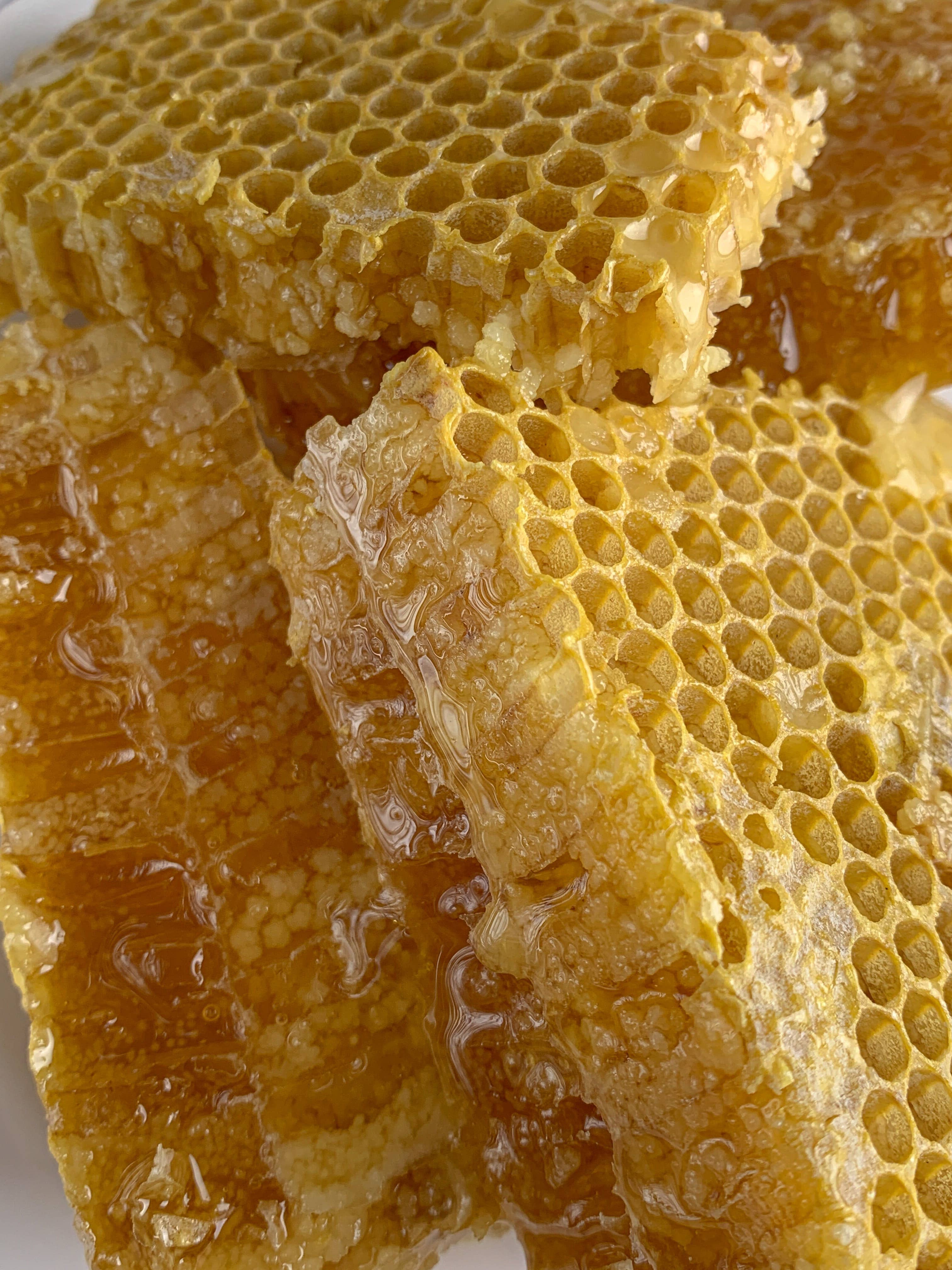 Beesweet - Wholesale Honey - Whole picture of pure honey bean6