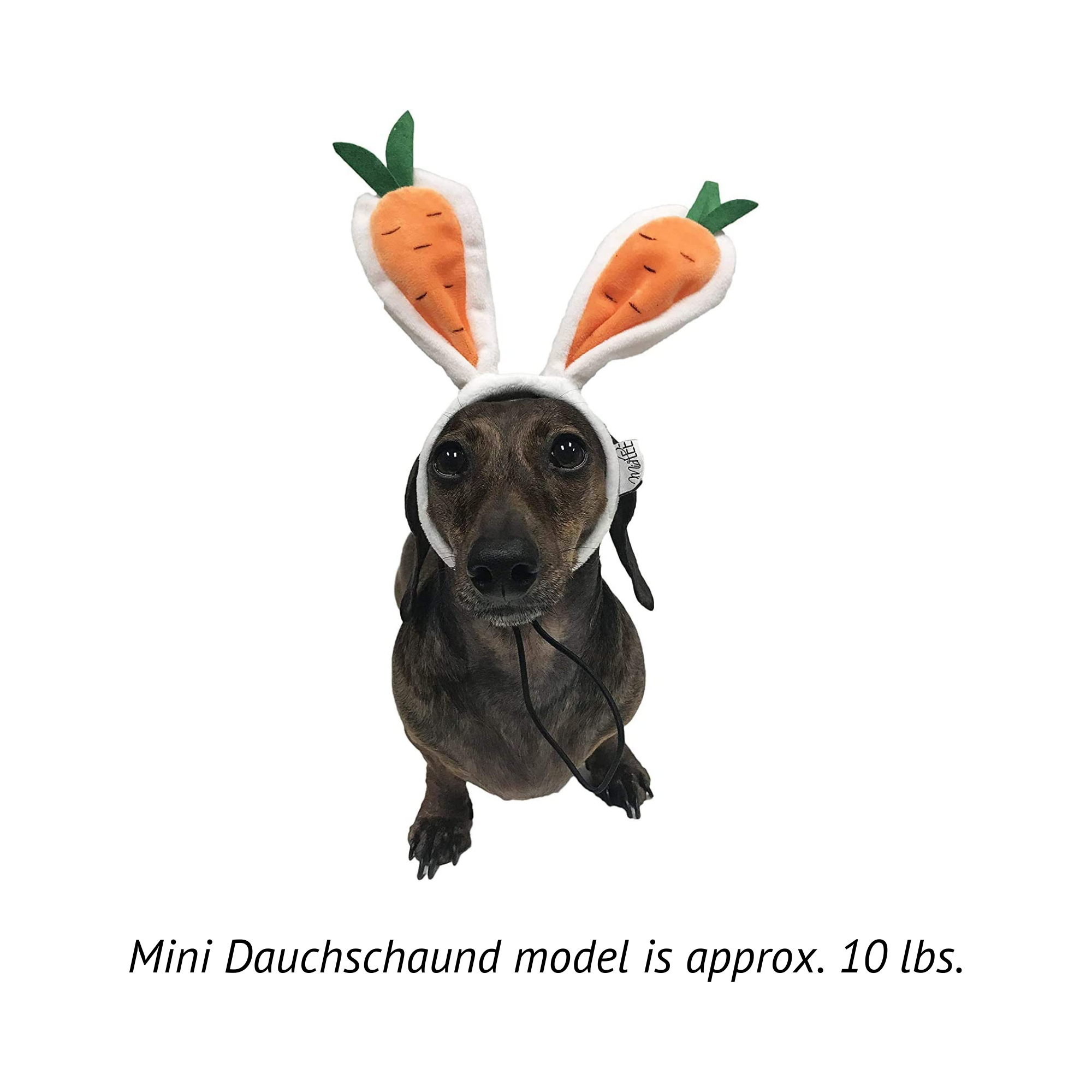 Midlee Designs - Wholesale Pet Hat - Dog - Midlee Carrot Bunny Ears Easter Dog Headband Costume9