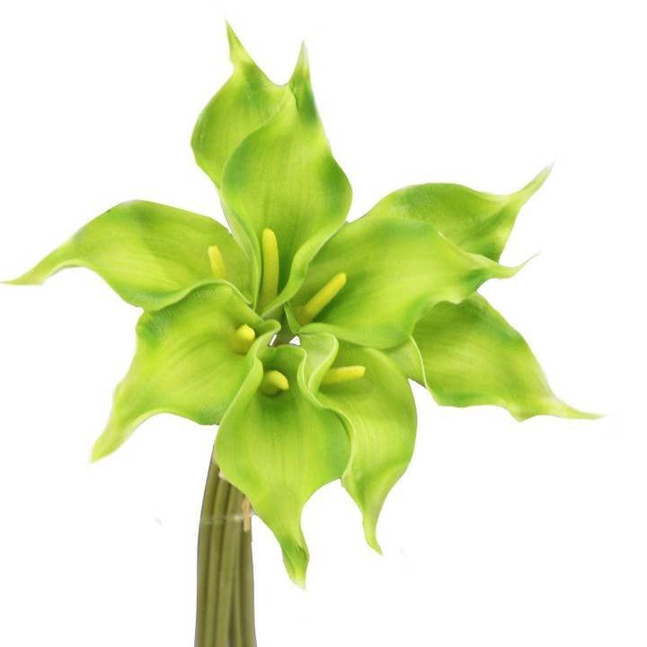 Angel Isabella - Wholesale Kunstbloemen - 16" Ultra Zachte Realistische Lange Bloei Kunstmatige Calla Lelie11