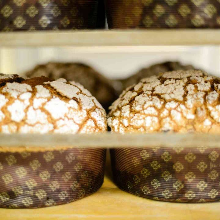 Piccolo Forno - Vendita all'ingrosso Preparati per pane - Panettone artigianale 500grammi