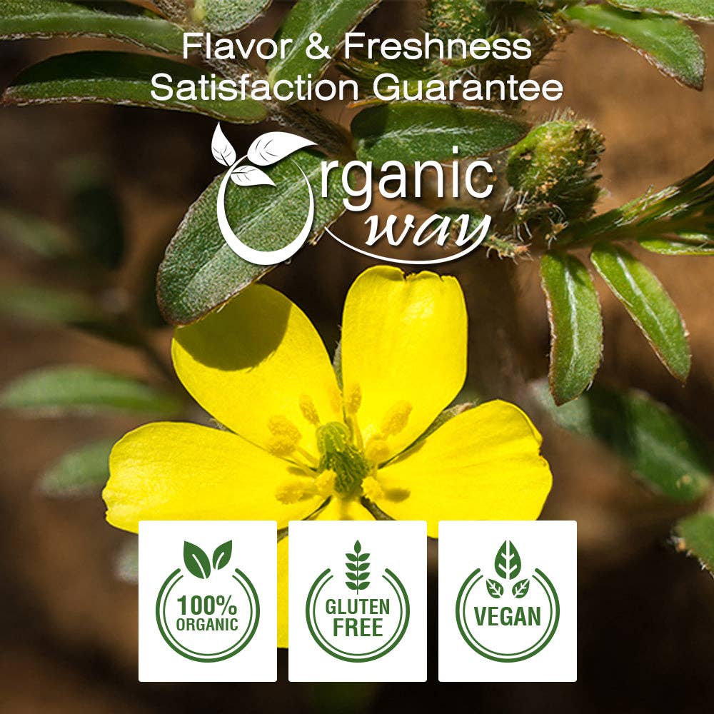 Organic Way LLC - Wholesale Protein/Superfood Powder - Organic Gokshura Powder - USDA Certified | Origin - India2