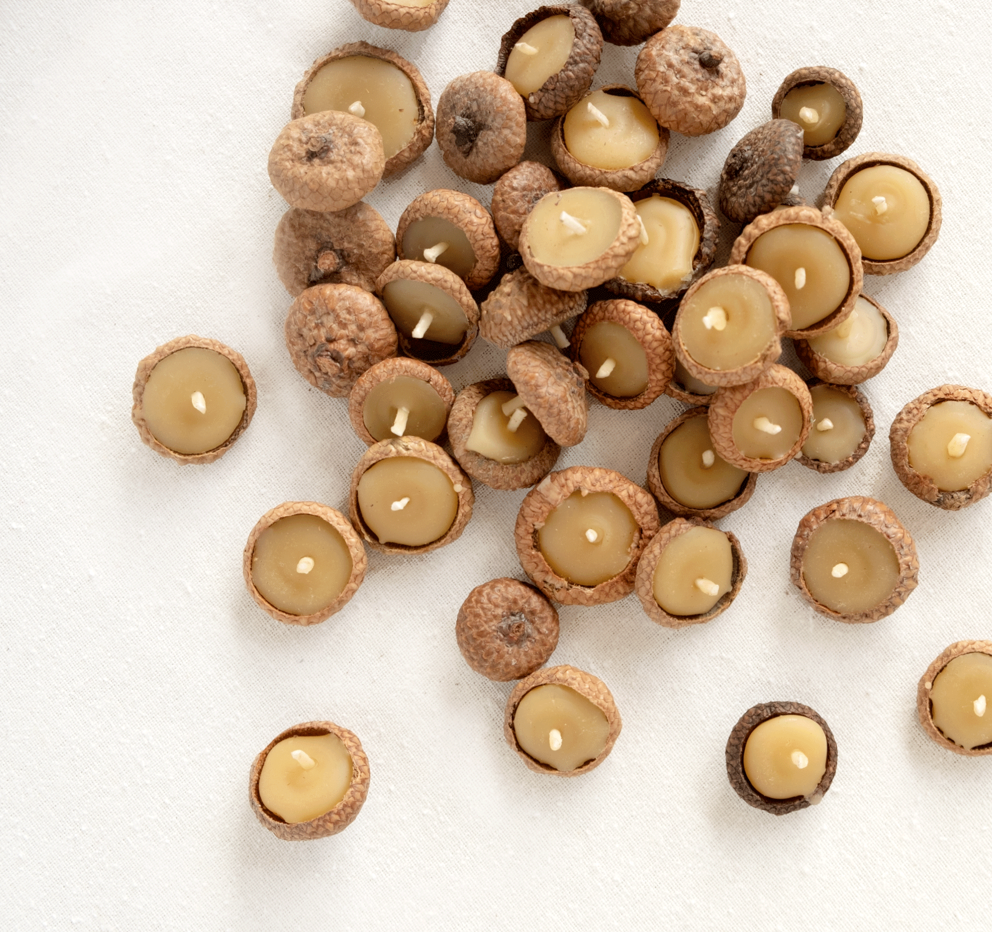 Elana Gabrielle – Velas de decoração por atacado – Velas flutuantes de bolota2