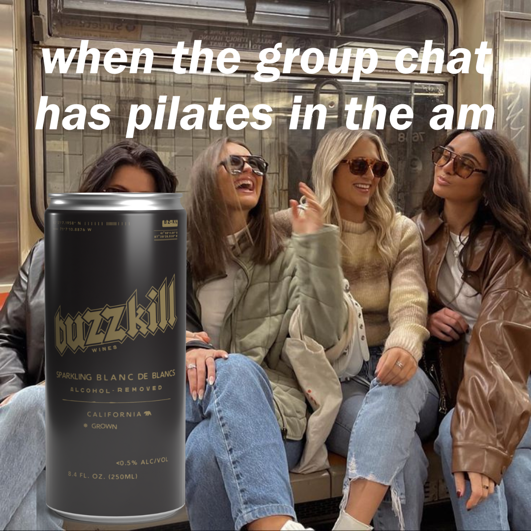 Buzzkill Wines - Wholesale Non-Alcoholic Spirits/Wine/Beer - Buzzkill Non-Alcoholic Sparkling Blanc de Blancs Wine | Low Sugar, Low Calorie, No Hangover - 24-Pack Cans7