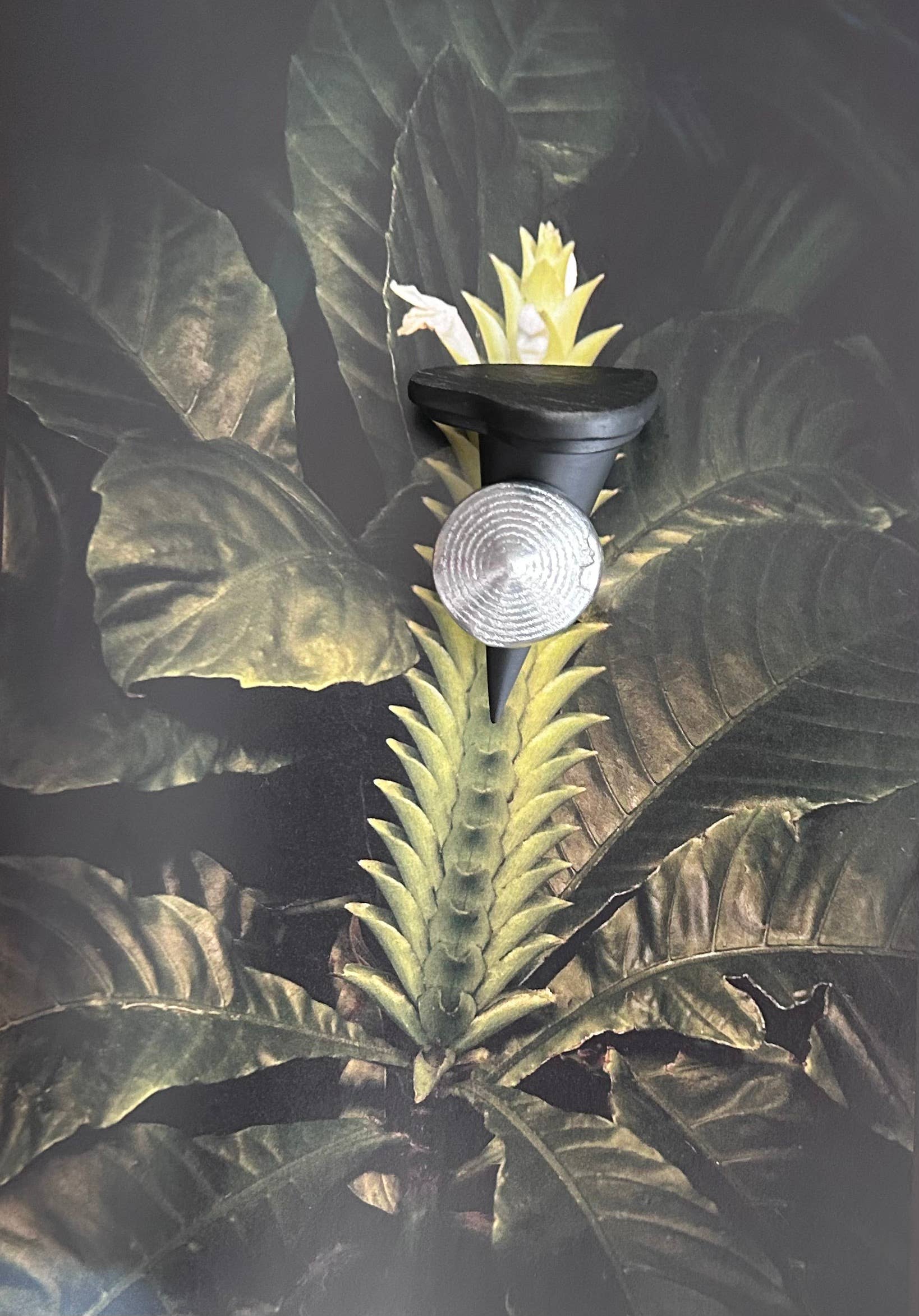 BABY JOYS - Wholesale Band/Stacked Ring - SILVER RING 1