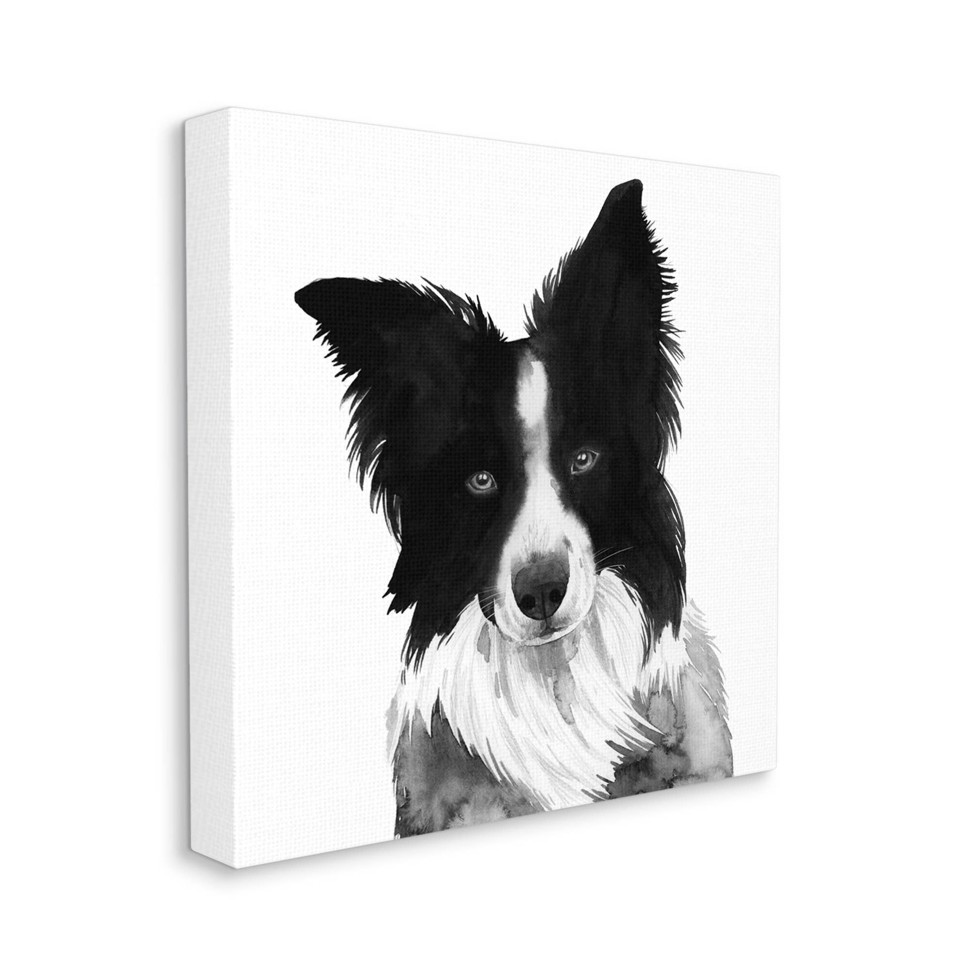 Stupell Industries – Engroshandel Kunsttryk – Border Collie Pet Hund Portræt Sort Hvid Lærred Kunst0