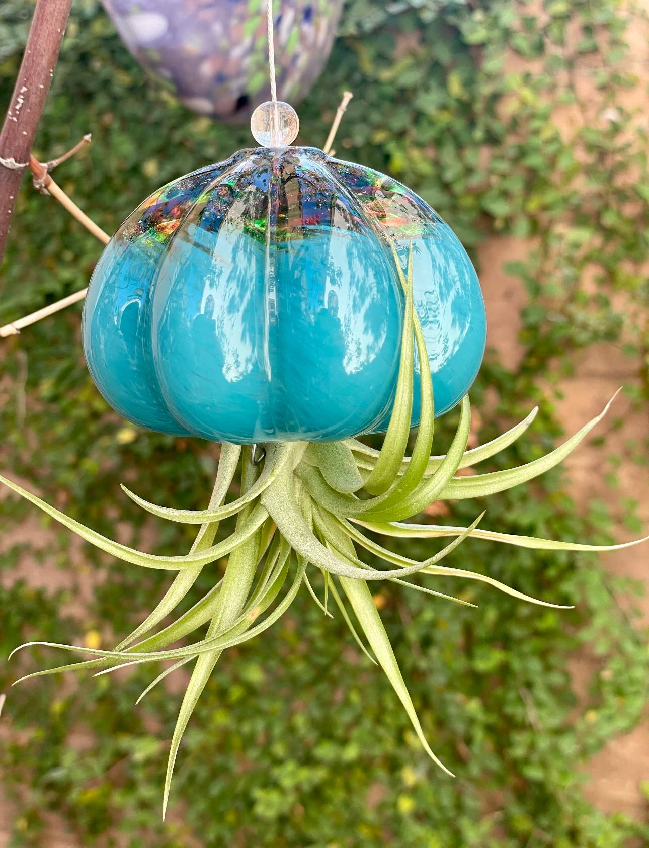 ApricotMint - Wholesale Hanging Planter - Cauliflower Jellyfish Air Plant Holder (plant not included)10