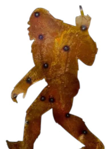 38-801- Middelvinger Bigfoot - 40 voor wholesale door Rustic Farm