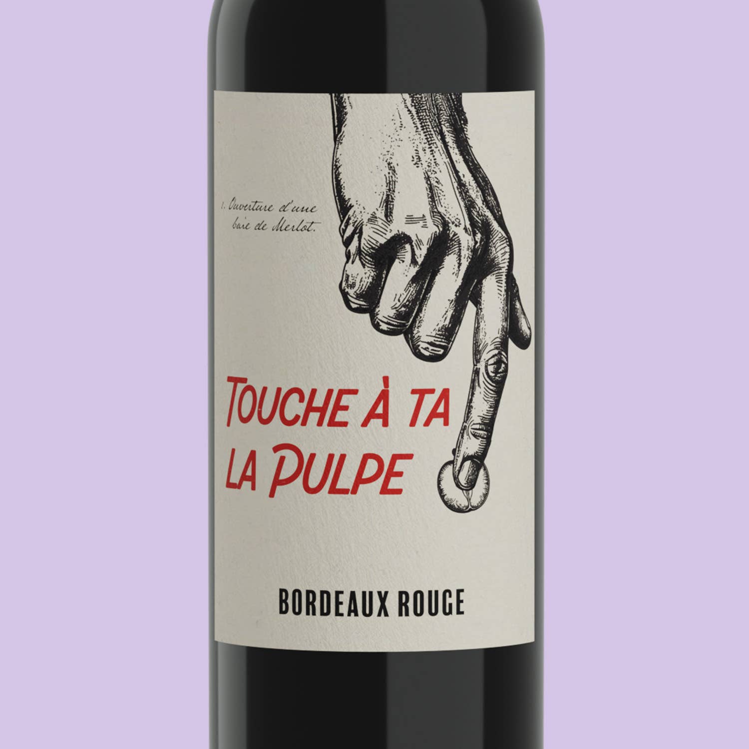 Les Compagnons du Canon - Venta al por mayor Vino tinto - Toca tu Pulpa - Burdeos tinto - 20201