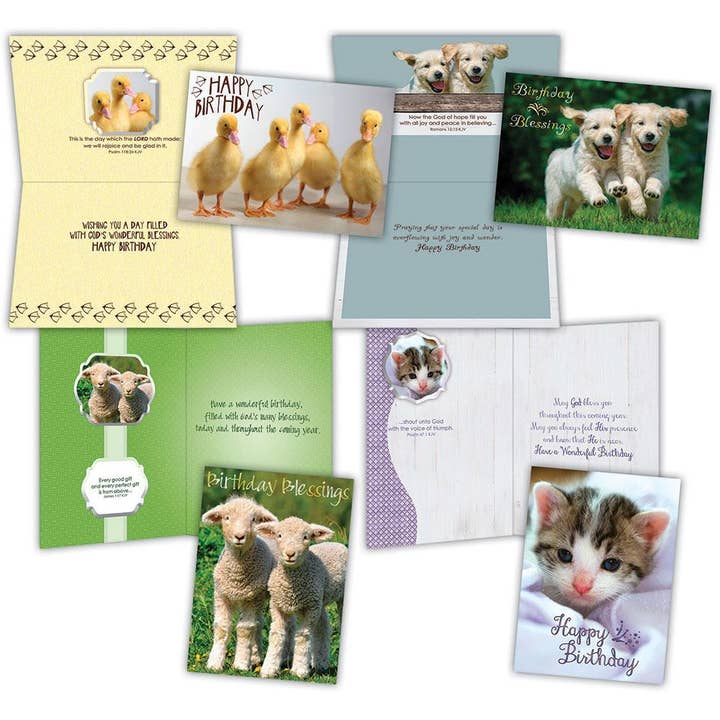 Religious Birthday Cards- Fur and Feathers | 12 Cards for wholesale by Crown Point Graphics
