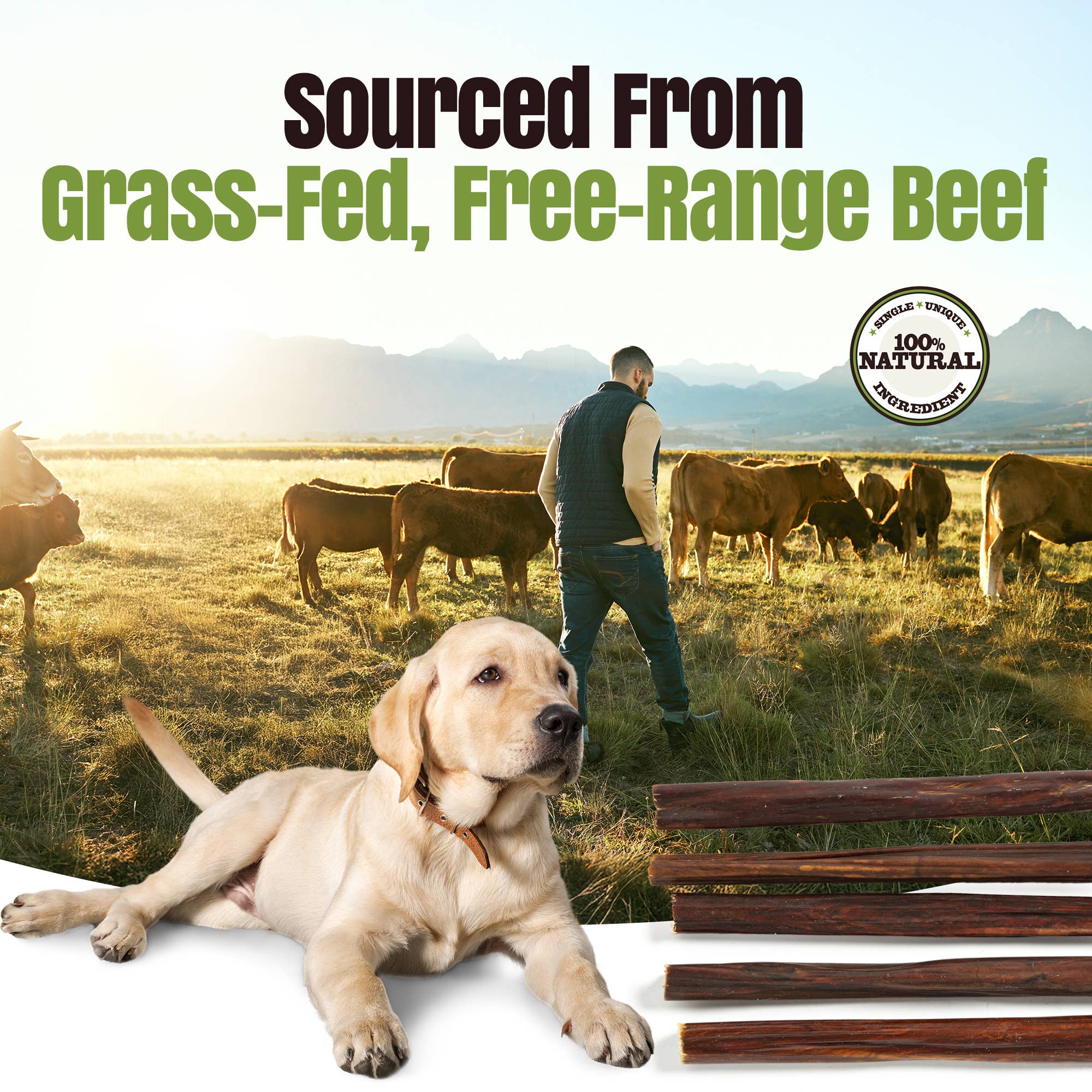 Palz&Co - Wholesale Pet Treats - Dog - Moodog Beef Gullet Sticks 6"-12" - Pack of 257