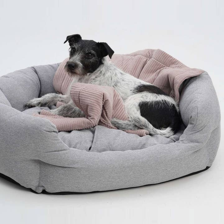 Hundkorg Loomi grå för wholesale av DOGS in the CITY®