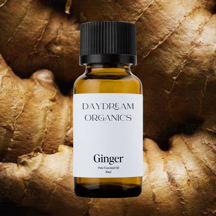 Daydream Organics | Prairie Doctor Brand - Wholesale Essential Oil - Ginger Essential Oil0