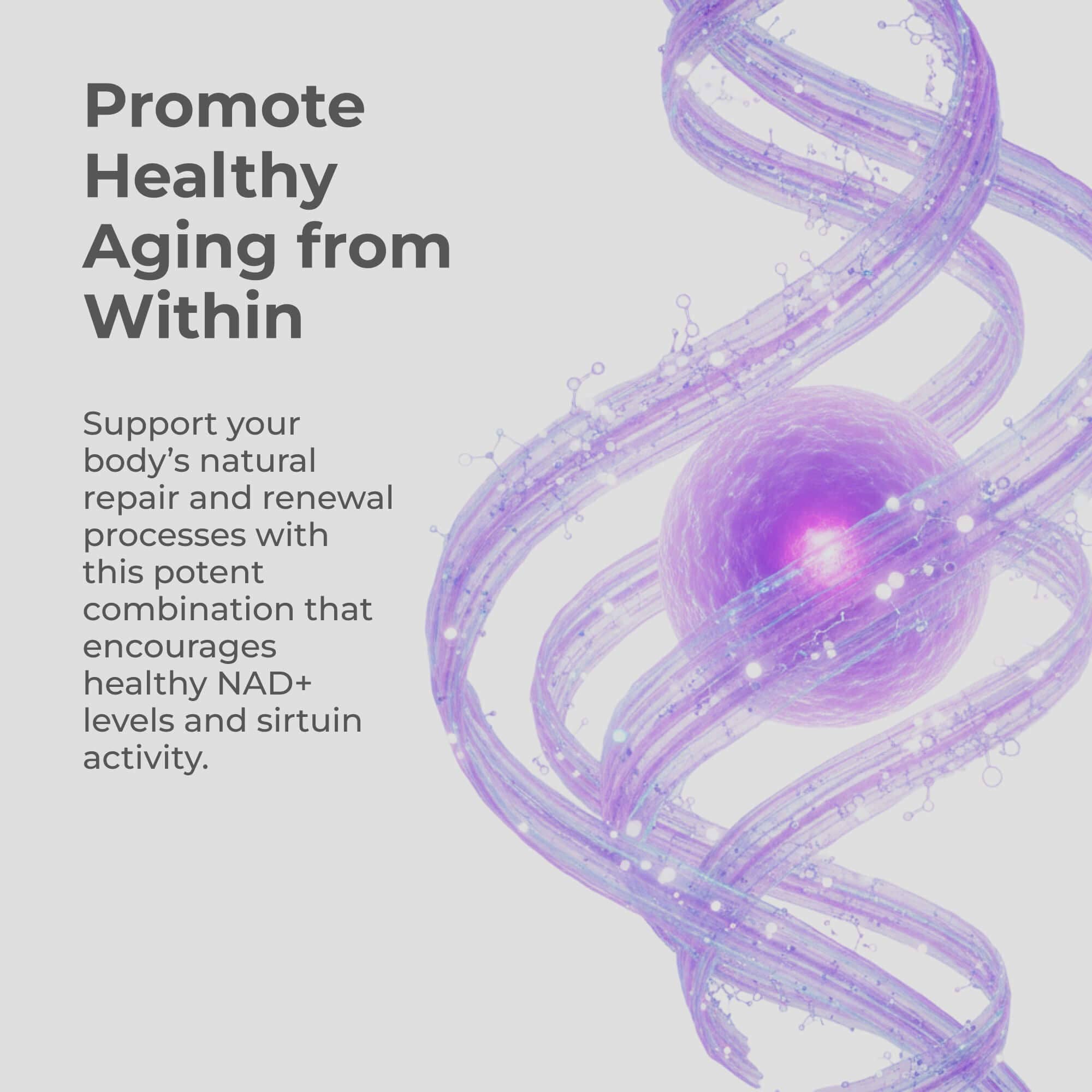 Neurogan Health - Wholesale Oral Supplement/Vitamin - NMN + Resveratrol Capsules2