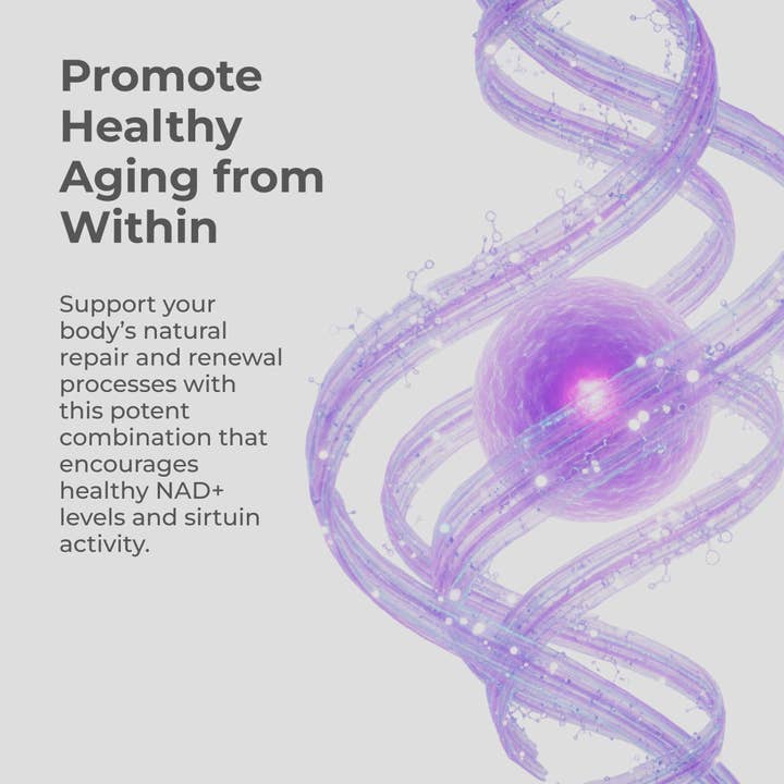 Neurogan Health - Wholesale Oral Supplement/Vitamin - NMN + Resveratrol Capsules2