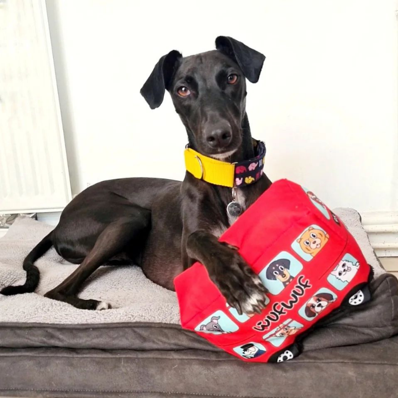 WufWuf - Vendita all'ingrosso Giocattoli sonori per animali - Cani - Giocattolo per cani WufWuf City Transpawt, autobus di Londra in peluche con sonaglio3