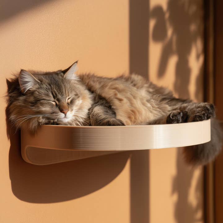 Wall Mounted Cat Shelf Bed | 3D Printed Floating Cat Perch for Resting | Minimalist Modern Wall Furniture for Cats and Small Pets for wholesale by Decords