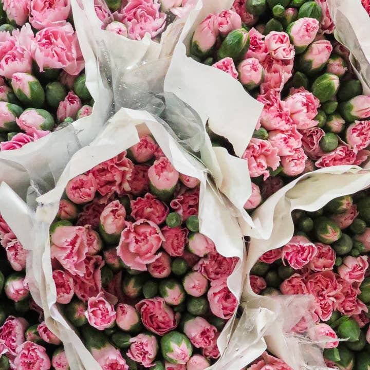 MySenso - Wholesale Reed Diffuser - N°85 Rose - I grandi CLASSICI - REFILL1