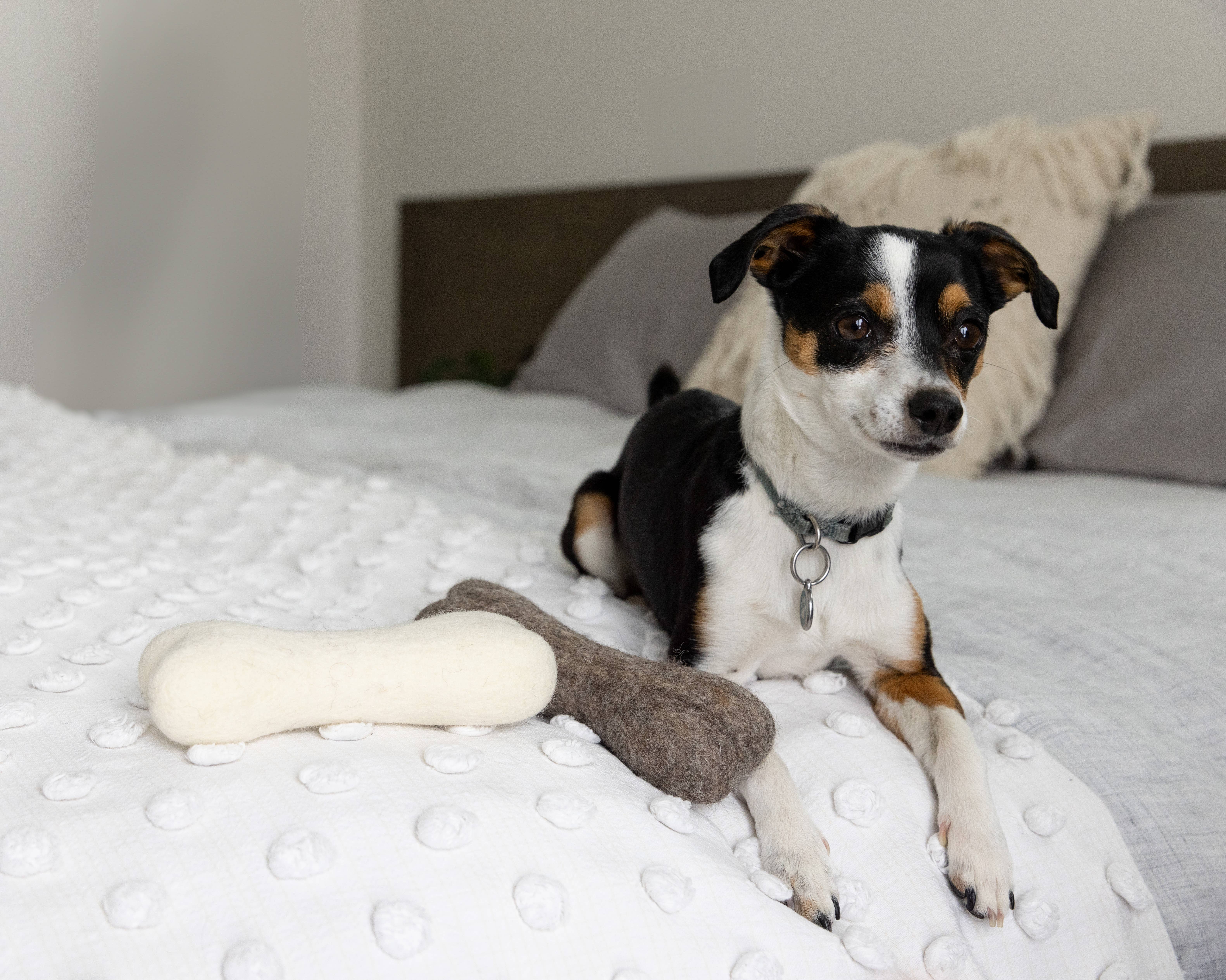 Fibres of Life - Wool & Felt - Wholesale Pet Toy - Dog - Felt Dog Bone Toy 4