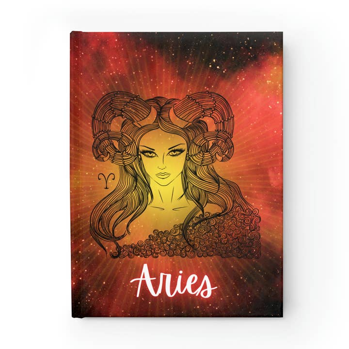 Set van 12 dierenriemdagboeken voor wholesale door The Rainbow Magician