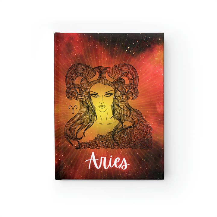 Set van 12 dierenriemdagboeken voor wholesale door The Rainbow Magician