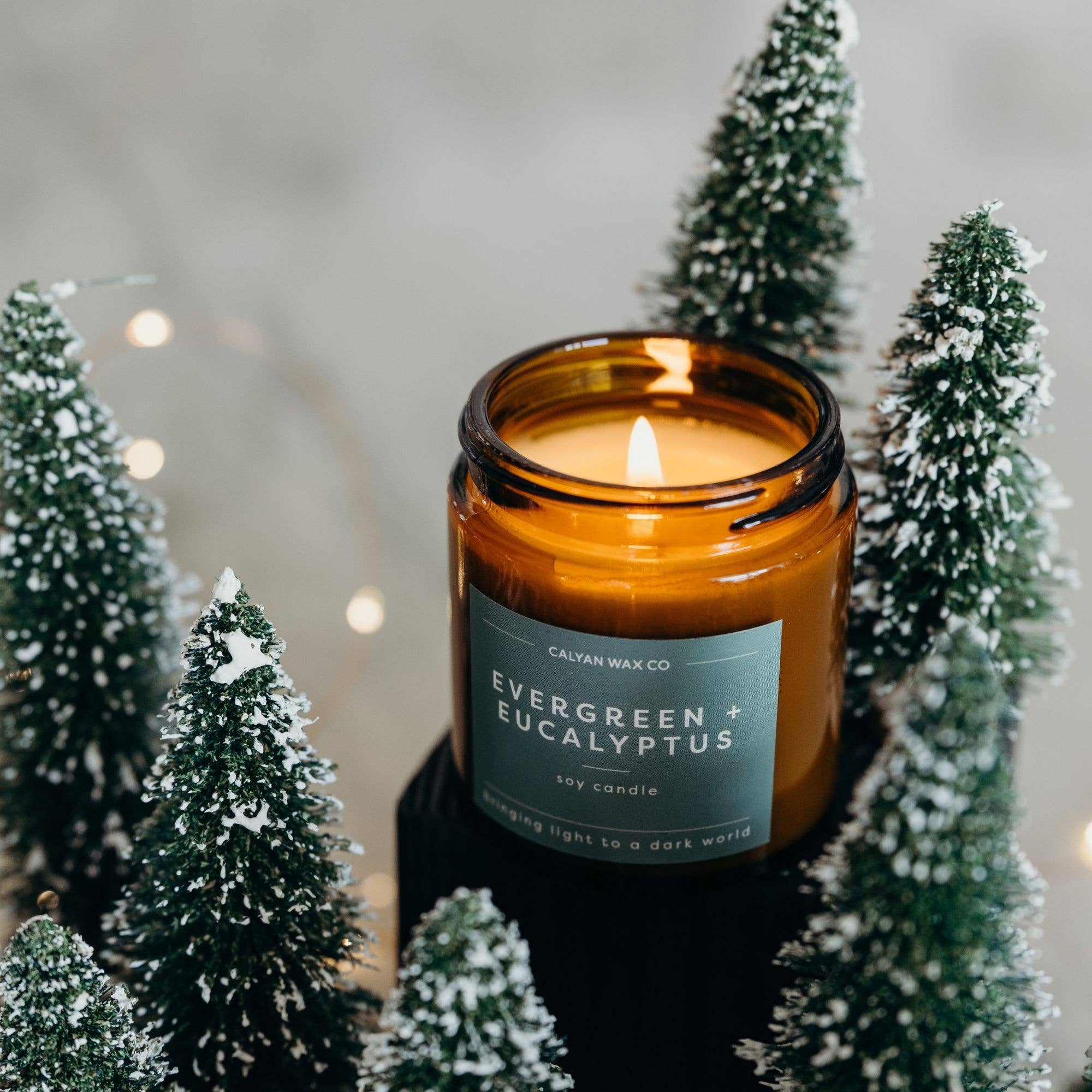 Calyan Wax Co. - Wholesale Jar/Filled Candle - Evergreen + Eucalyptus - Mini Amber Jar Soy Candle3