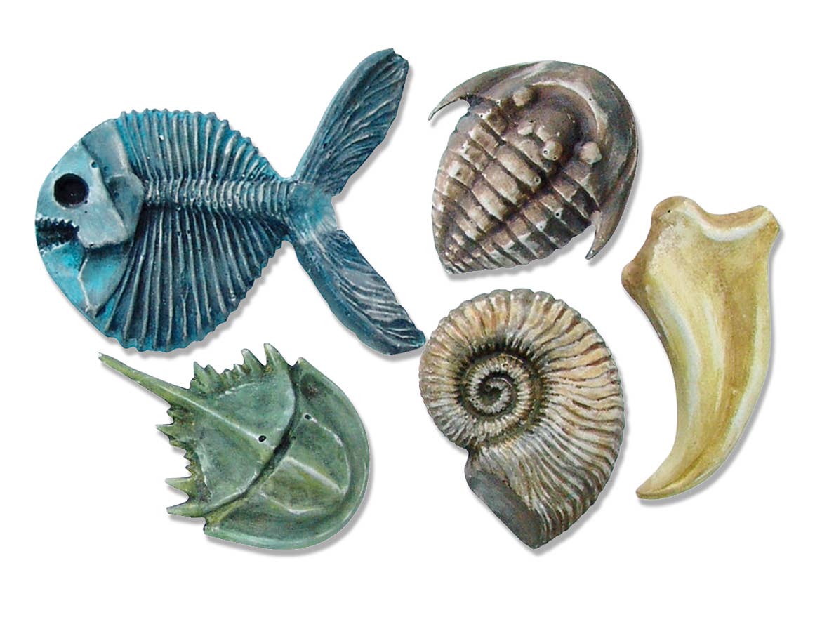 Roylco - Wholesale DIY Craft Kit - Kids - Fossil Molds – DIY Educational Craft Kit1