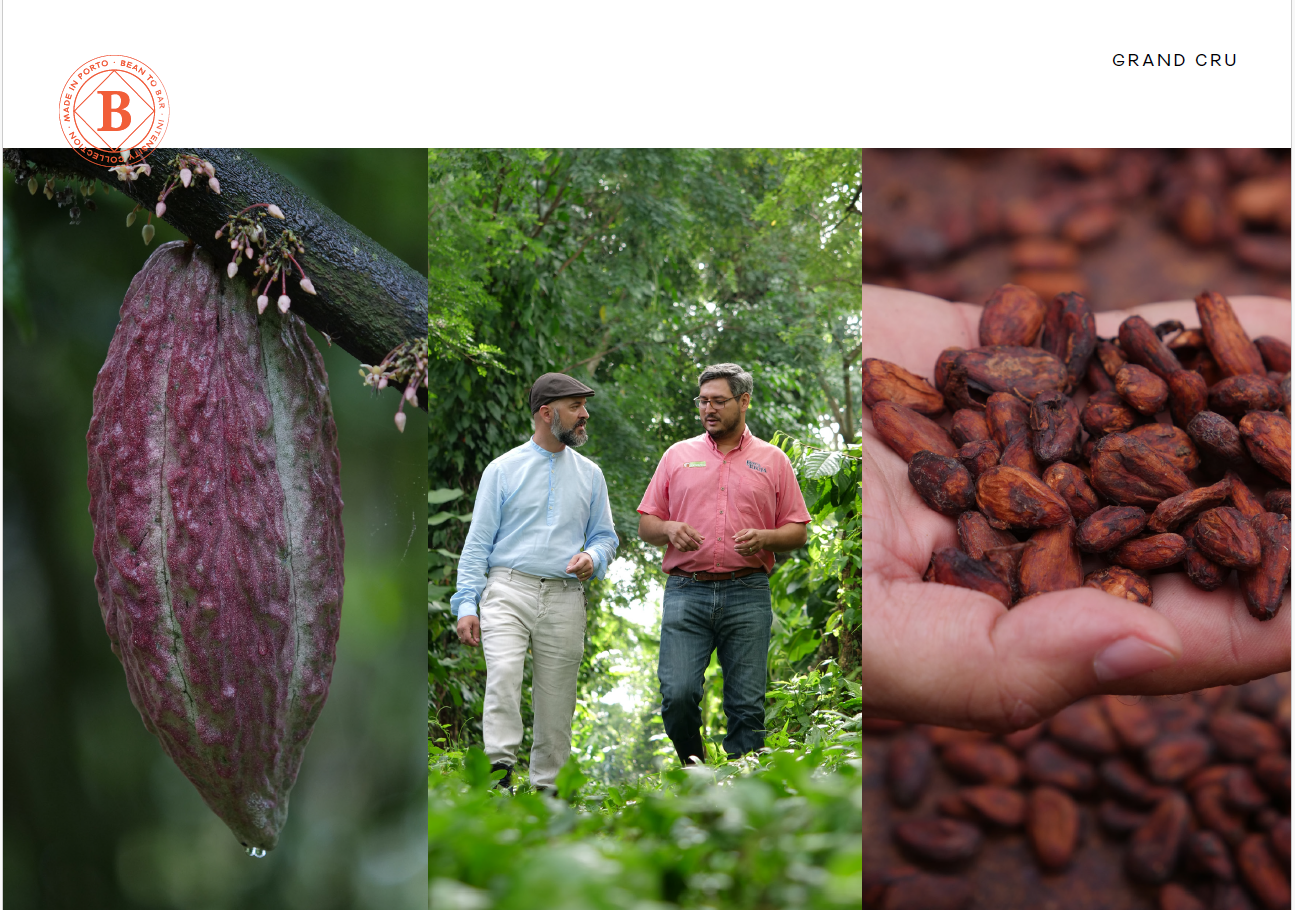 Vinte Vinte Chocolate - Vendita all'ingrosso Cioccolato - GRAND CRU CIOCCOLATO FONDENTE 70% MESSICO SOCONUSCO FINCA LA RIOJA3