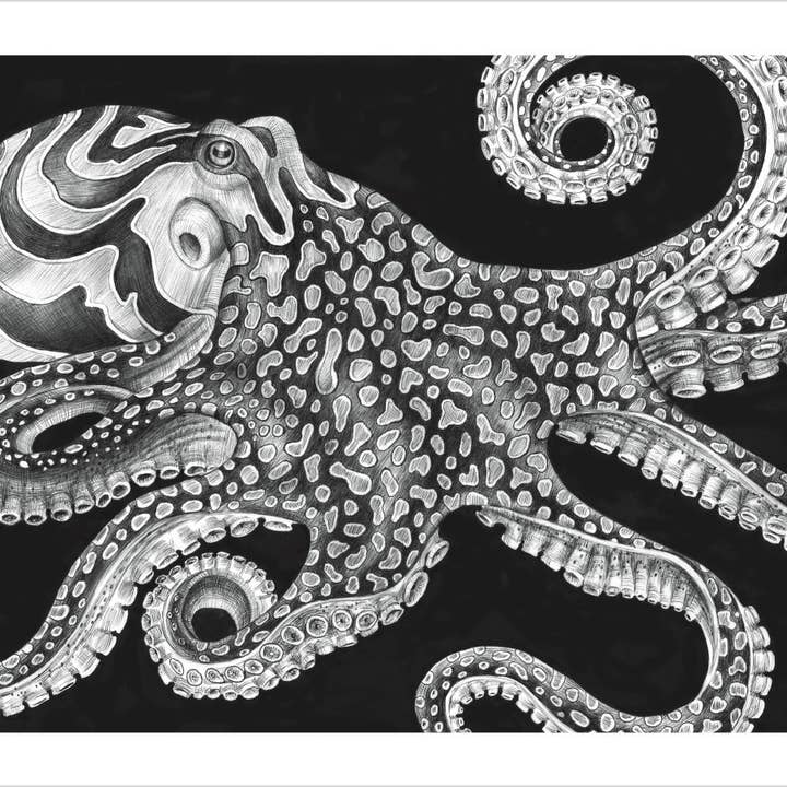 Pomegranate - Wholesale Coloring & Activity Book - Adult - Intricate Ink: Animals in Detail Coloring Book2